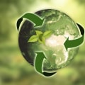 Comprendere la differenza tra ambiente generale e ambiente aziendale